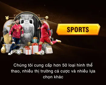 Giấy phép hoạt động